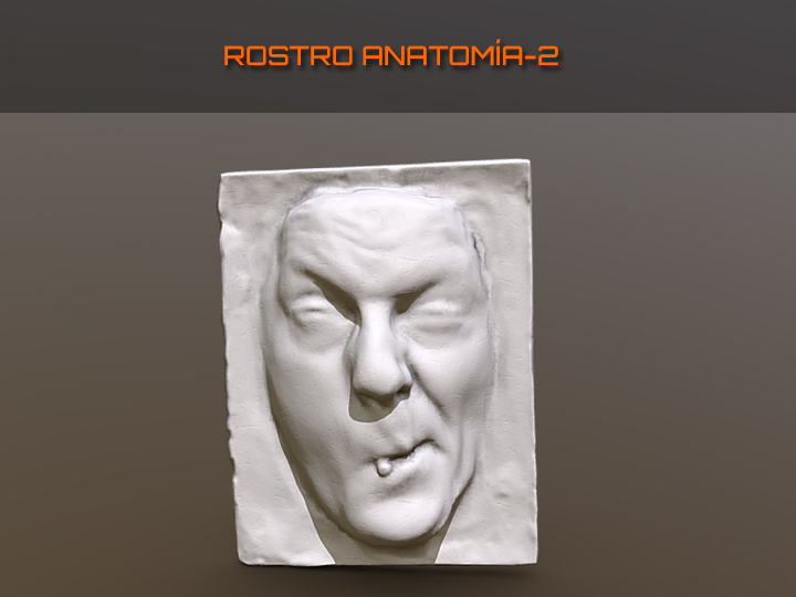 Rostro anatomía 2, escultura modelo de la asignatura Anatomía y Morfología,  grado en Bellas Artes 